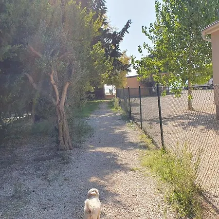 Lu-ka Pakoštane